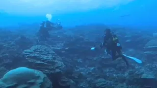 Insula Vostok, un miracol al naturii