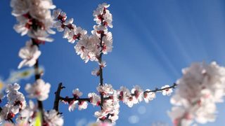 Vremea neobișnuit de caldă continuă și &icirc;n zilele următoare.