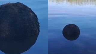 Alertă &icirc;n Tulcea! O posibilă mină marină ar fi fost identificată pe brațul Chilia Veche