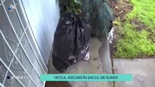 VIDEO - Ca să nu fie prins, s-a ascuns cât e bine a putut! Locul neobișnuit în care a fost găsit un hoț