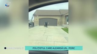 VIDEO - Imagini virale pe internet! Polițist filmat în timp ce alerga după ... un porc