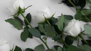 7 avantaje atunci când colaborezi cu o firmă de pompe funebre