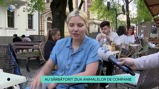 VIDEO - La Cluj, localnicii au sărbătorit Ziua Animalelor de Companie. Cățeii au primit un meniu special