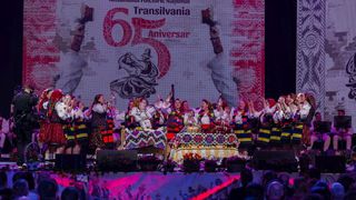 Peisaj din Țara Lăpușului