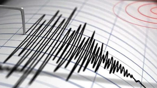 Cutremur &icirc;n zona seismică Vrancea, duminică dimineața. Ce magnitudine a fost &icirc;nregistrată