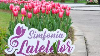 festival simfonia lalelelor