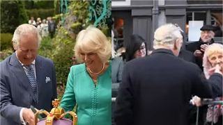 Menajeră Regele Charles