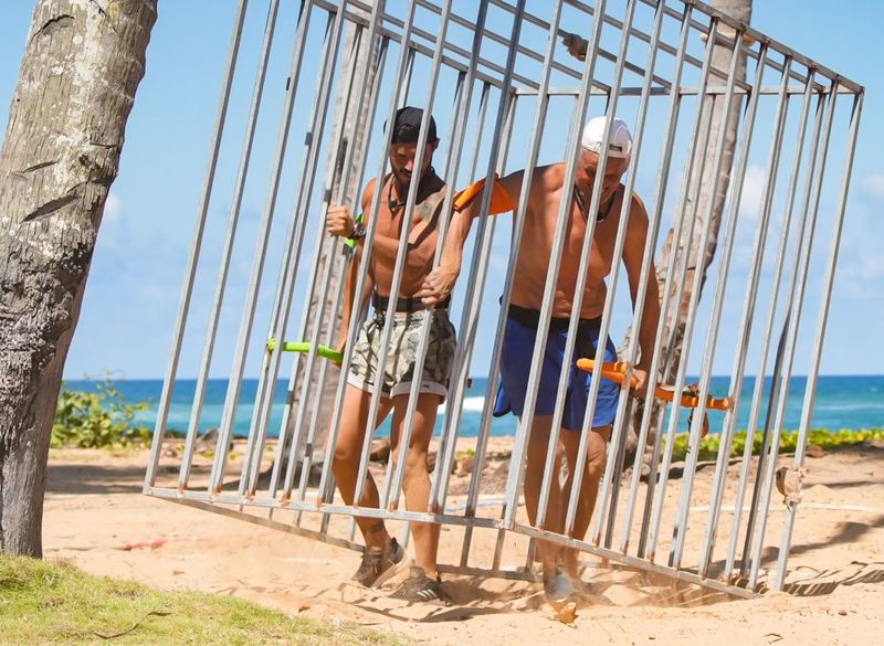 probe insula de 1 milion