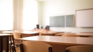 Profesoară Buzău Luceafăr roman