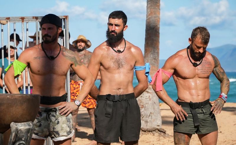 probe insula de 1 milion