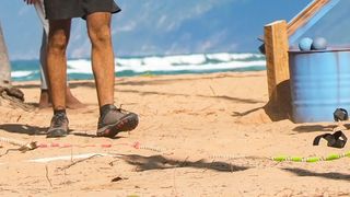 sorin de la insula de 1 milion