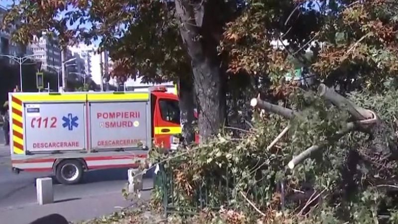 Mesaj Ro-Alert de fenomene meteo extreme în Tulcea 
