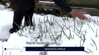 VIDEO - De la temperaturi de vară, la frig și zăpadă. La Cluj a nins ca în povești