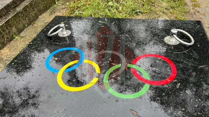 Cum arată cavoul cu Jocurile Olimpice al lui Costel Corduneanu