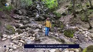 VIDEO - Plimbările prin pădure... pe semnătură. Ministerul Mediului propune ca cei care vor să plece &icirc;n natură să ceară aprobare de la administratorii fondurilor forestiere