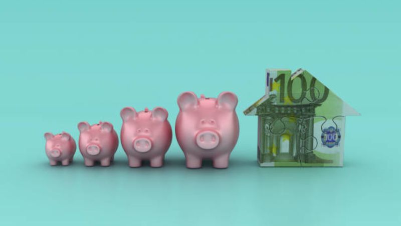 pusculita si casa acoperita cu bancnota euro