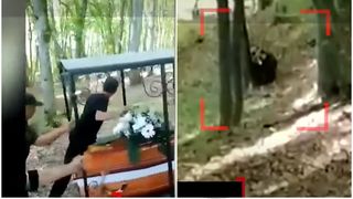 Înmormântare oprită de urs. Cortegiul funerar, fugărit de animalul sălbatic. "Vine! Vine încoace"