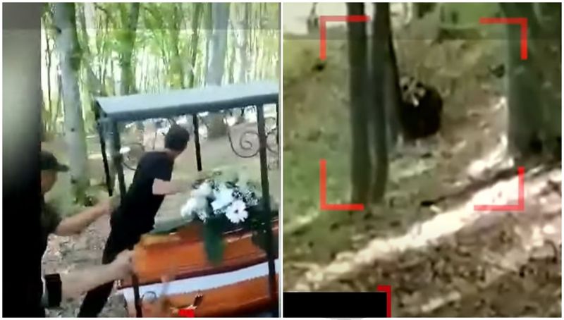 Cortegiul funerar, fugărit de urs