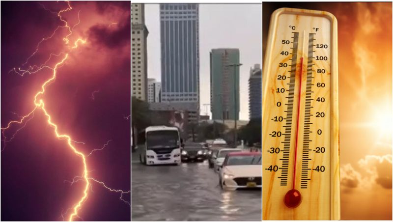 Progresul privind schimbarea climatică în 2024