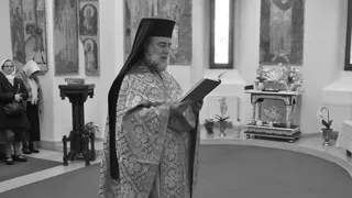 Cine a fost preotul Irineu Dogaru 