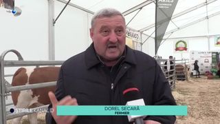 VIDEO-Fermierii, falimentați de prețul mic al laptelui. ,,E o muncă foarte costisitoare și nu e apreciată''