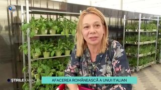 VIDEO-Seră de flori unică &icirc;n Rom&acirc;nia, inaugurată de un italian &icirc;ndrăgostit de țara noastră. Unde se află oaza de frumusețe, cu zeci de mii de plante decorative
