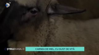 VIDEO-Carnea de miel, cu gust de vită. Cu două săptăm&acirc;ni &icirc;nainte de Paște, fermierii au oferte pentru toate gusturile