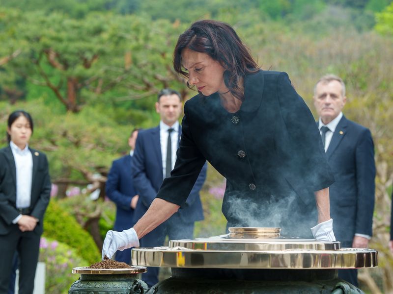 Vizita în Coreea de Sud va debuta luni, 22 aprilie 2024, cu ceremonia depunerii unei coroane de flori la Cimitirul Național din Seoul și un tur informativ al Panmunjom (Joint Security Area) din Zona Demilitarizată.