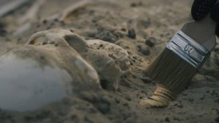 "Sunt urme de sicriu". Descoperire șocantă în curtea Spitalului Vaslui! Săpăturile au scos la iveală 13 schelete umane