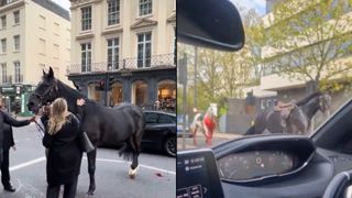 VIDEO: Doi cai din cavaleria regală au fost surprinși galopând în centrul Londrei. O persoană ar fi fost rănită de animalele fugare. Cum a fost posibil?