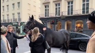 cal mangaiat de oameni