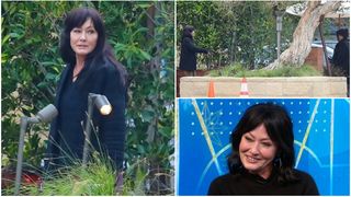 Actrița din Beverly Hills 90210 bolnavă de cancer în stadiul 4, apariție surprinzătoare. Shannen Doherty continuă să renunțe la bunurile materiale