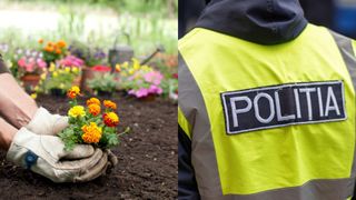 Motivul șocant pentru care o pensionară din Brașov ar fi fost amendată! Decizia luată de administrația locală. "Este anormal..."