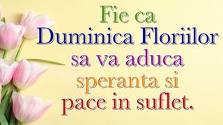 felicitare de florii