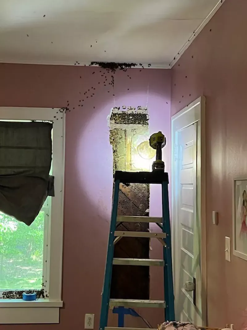 Fetița le-a spus părinților e un monstru în casă, dar nimeni nu a crezut-o. Când au spart peretele din care se auzeau zgomote au rămas șocați