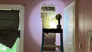 Fetița le-a spus părinților e un monstru &icirc;n casă, dar nimeni nu a crezut-o. C&acirc;nd au spart peretele din care se auzeau zgomote au rămas șocați