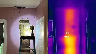 Fetița le-a spus părinților e un monstru &icirc;n casă, dar nimeni nu a crezut-o. C&acirc;nd au spart peretele din care se auzeau zgomote au rămas șocați