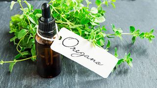 oregano