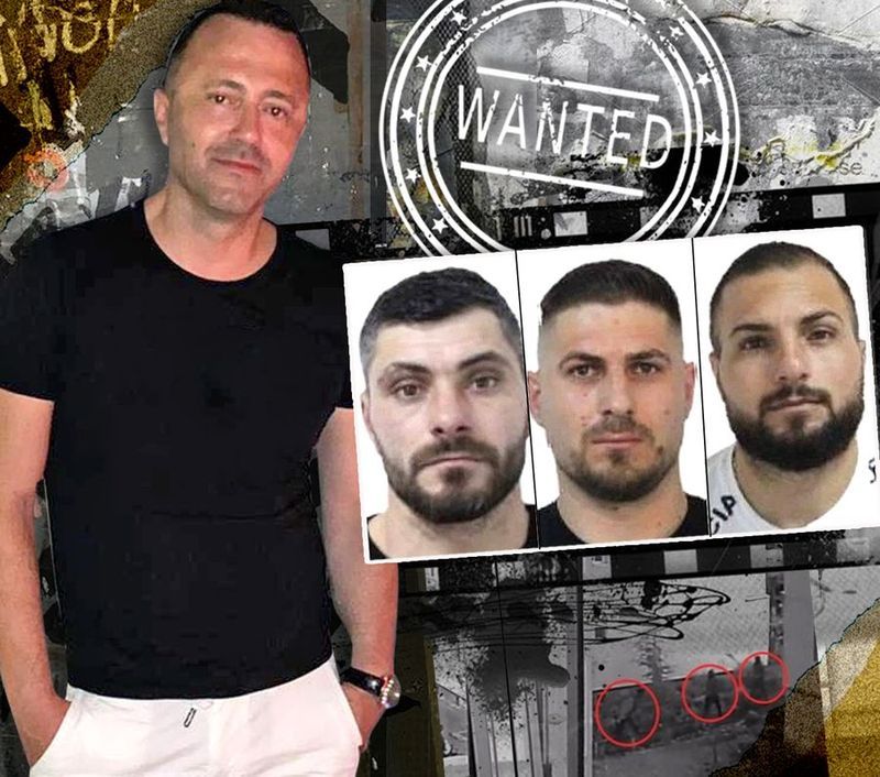 adriann kreiner si suspectii