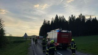 Rom&acirc;ni accident Austria