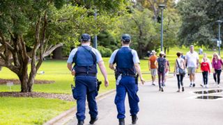 Lovit macetă Brăila