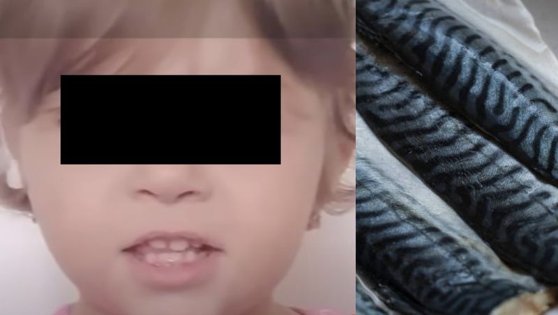 Rezultat analize moarte pește