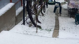 VIDEO. Vremea extremă a făcut prăpăd în mai multe zone din țară. Imagini cu grindina uriașă. "A distrus tot"