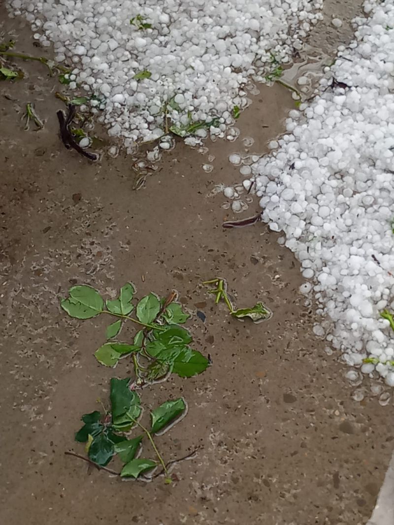 Vreme instabilă la început de săptămână. Noi avertizări COD GALBEN de vijelii și căderi de grindină