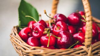 Preț cireșe