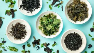 Mâncarea viitorului Sovata