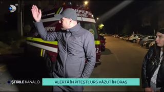 VIDEO-Alertă &icirc;n Pitești! Este pentru prima oară c&acirc;nd un urs coboară at&acirc;t de departe de munți, potrivit autorităților