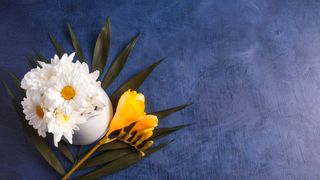 Firma de servicii funerare ce oferă servicii complete in București