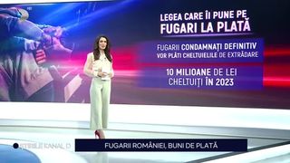 VIDEO Fugarii României sunt de acum buni de plată! Camera Deputaților a adoptat legea care îi face pe cei care au fugit de urmărirea penală să achite cheltuielile de aducere în țară
