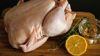 ANSVSA, carne de pui, pui galben 